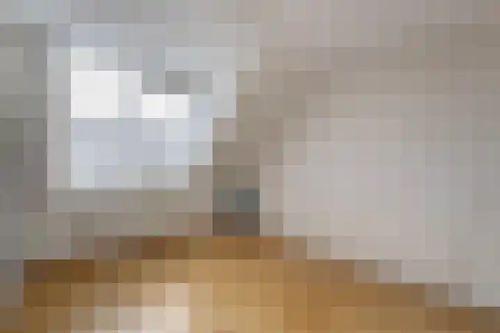 Brandemaat 115 Meppel thumbnail 12