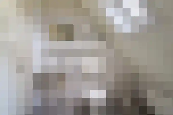 Brandemaat 115 Meppel thumbnail 18