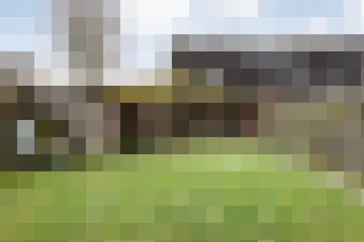 Brandemaat 115 Meppel thumbnail 24