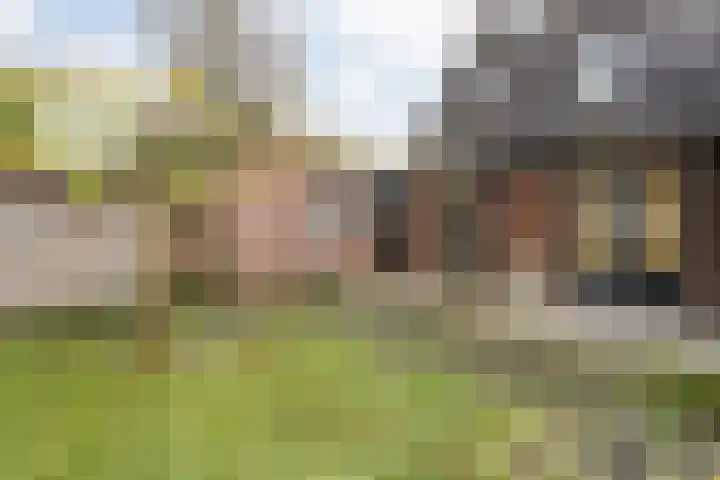 Brandemaat 115 Meppel thumbnail 25