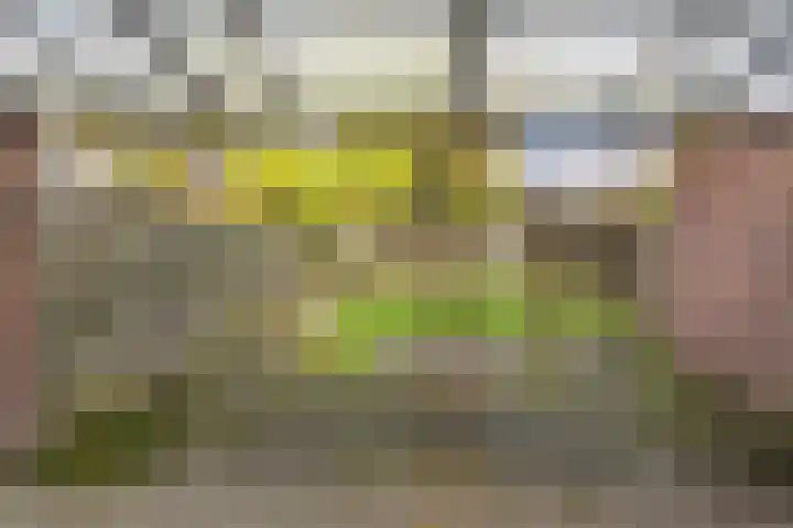 Brandemaat 115 Meppel thumbnail 29