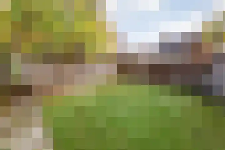 Brandemaat 115 Meppel thumbnail 30