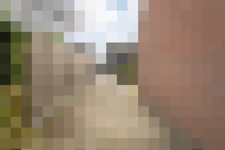 Brandemaat 115 Meppel thumbnail 31