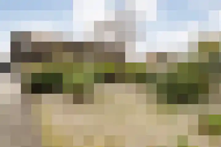 Brandemaat 115 Meppel thumbnail 34