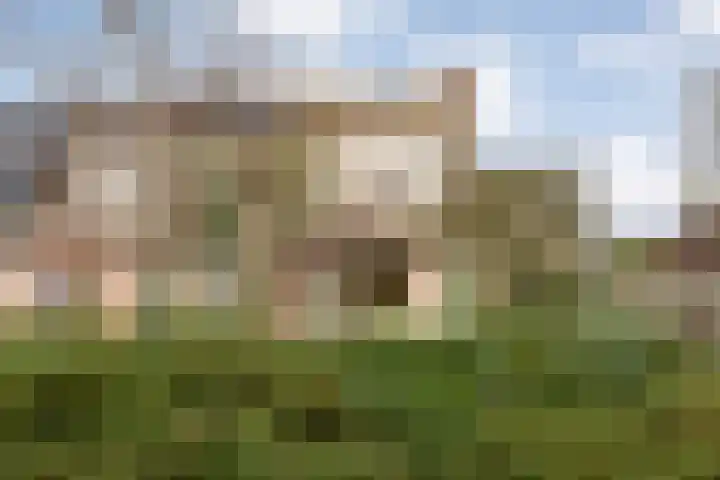Brandemaat 115 Meppel thumbnail 35