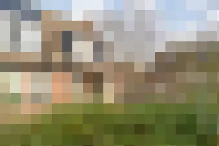 Brandemaat 115 Meppel thumbnail 36