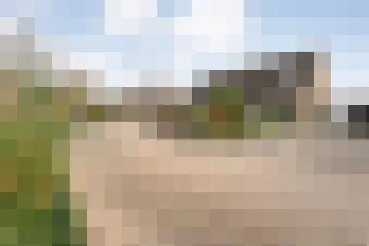 Brandemaat 115 Meppel thumbnail 37