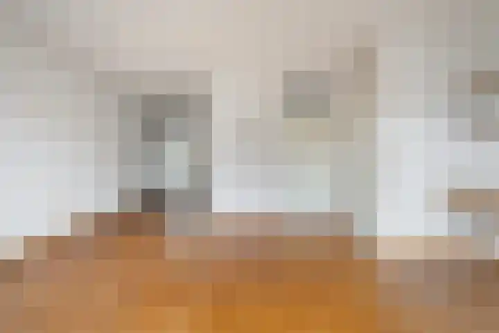 Brandemaat 115 Meppel thumbnail 5