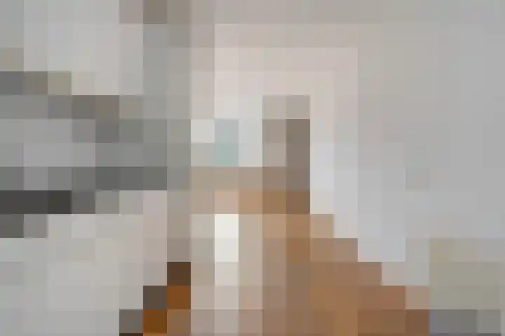 Brandemaat 115 Meppel thumbnail 6