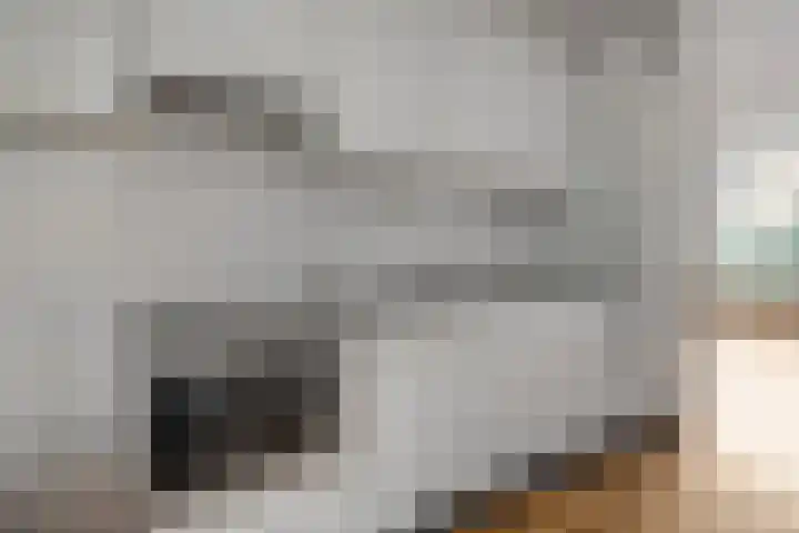 Brandemaat 115 Meppel thumbnail 7