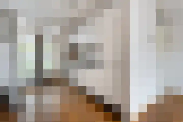 Brandemaat 115 Meppel thumbnail 8
