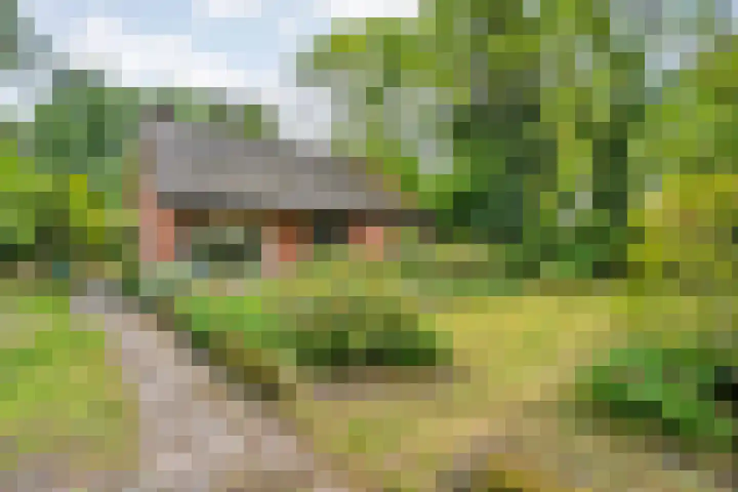 Brandemaatweg 6 Enschede thumbnail 33