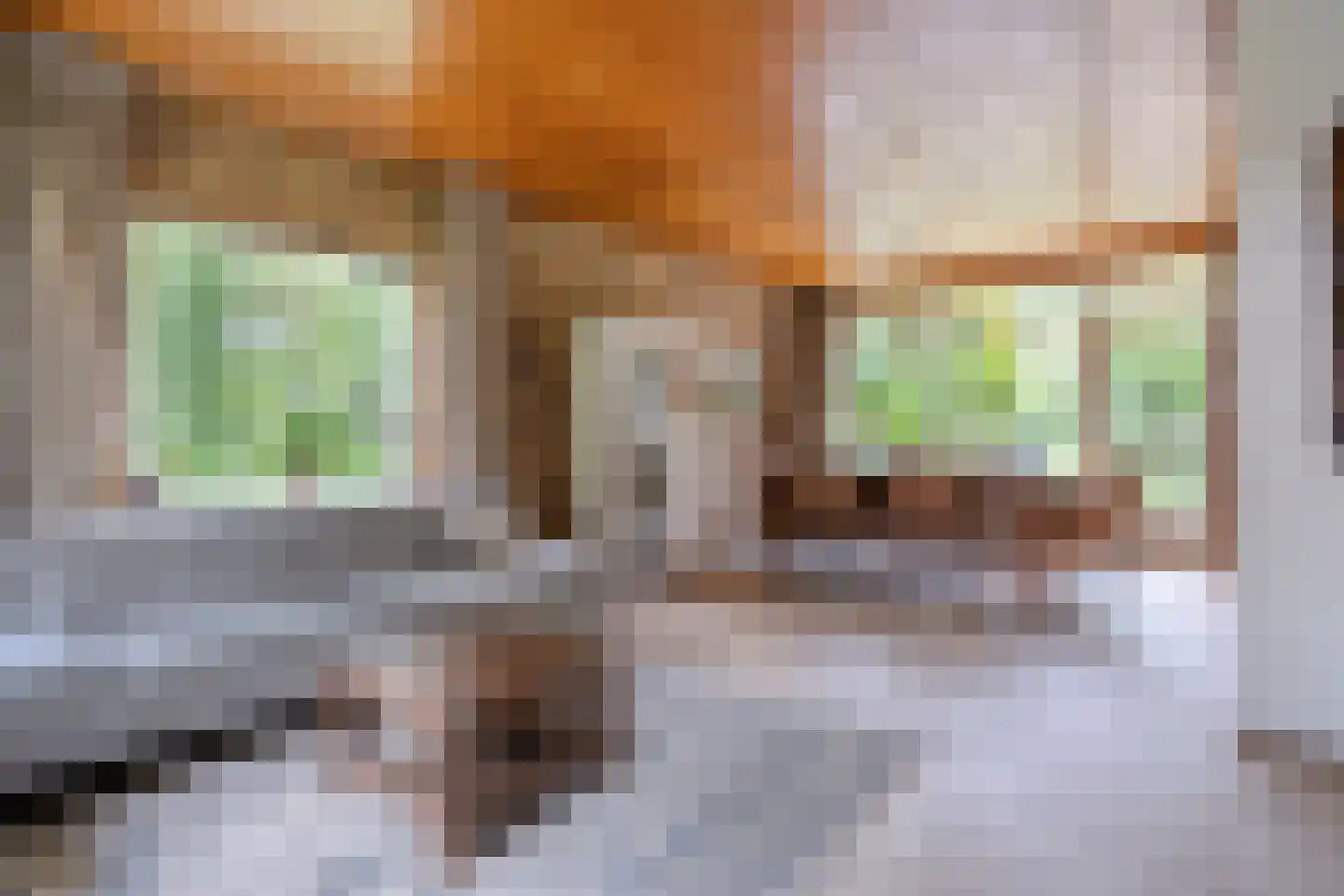 Brandemaatweg 6 Enschede thumbnail 6