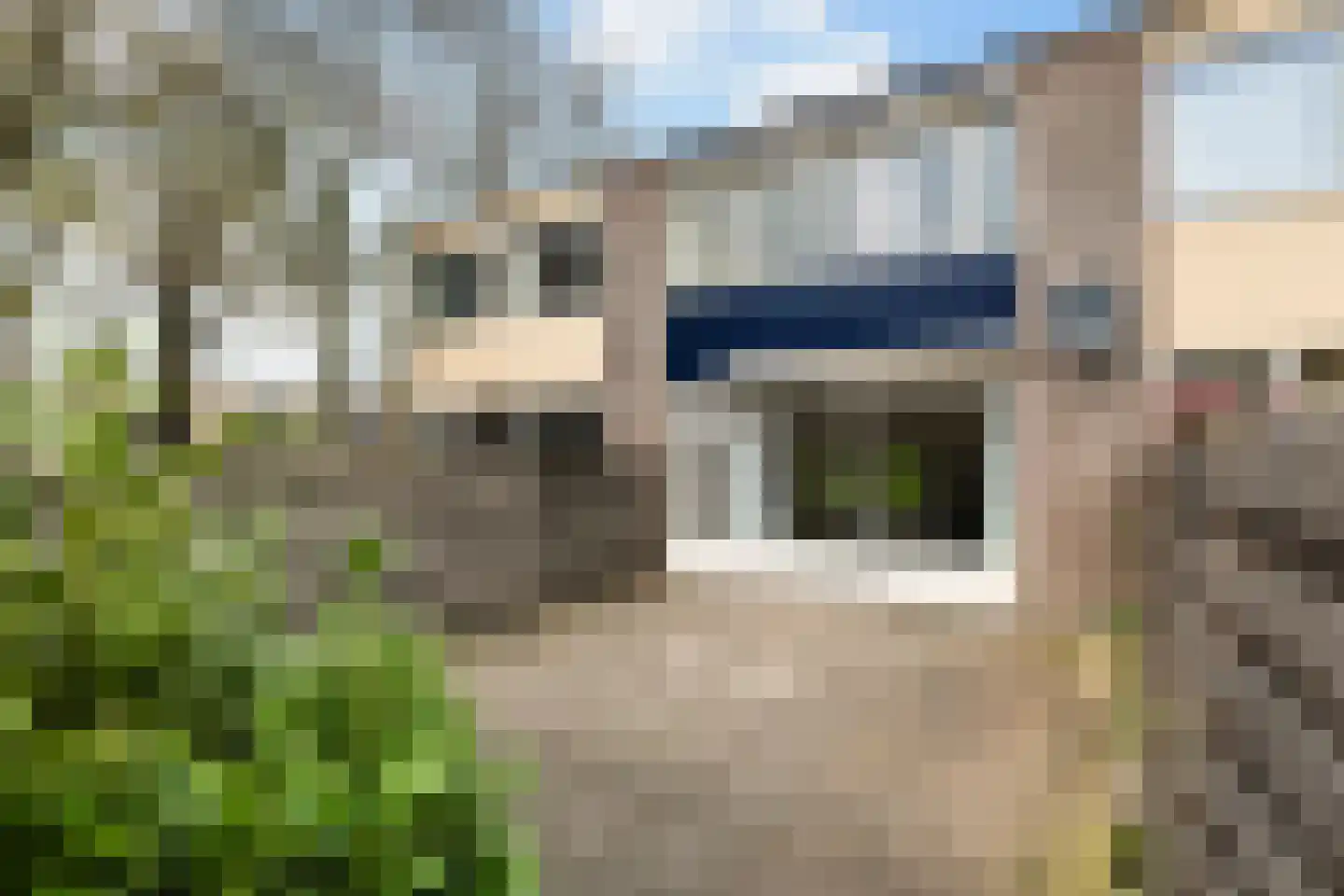 Brandemeer 102 Leeuwarden thumbnail 6