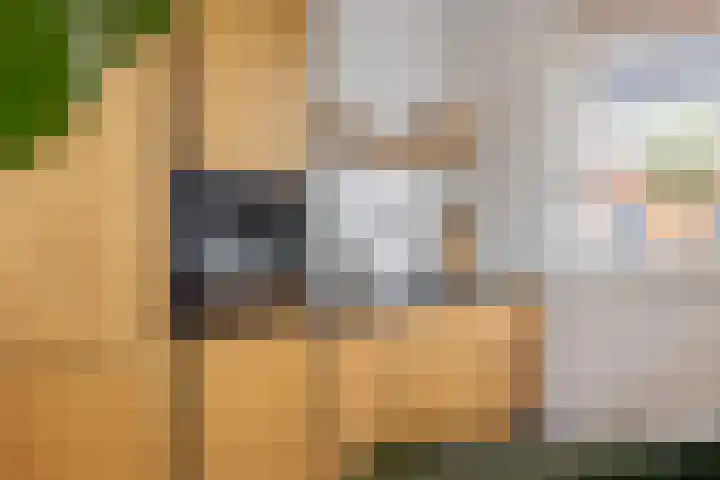 Brandemeer 31 j Leeuwarden thumbnail 10