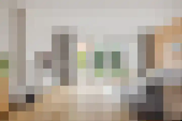 Brandemeer 31 j Leeuwarden thumbnail 12