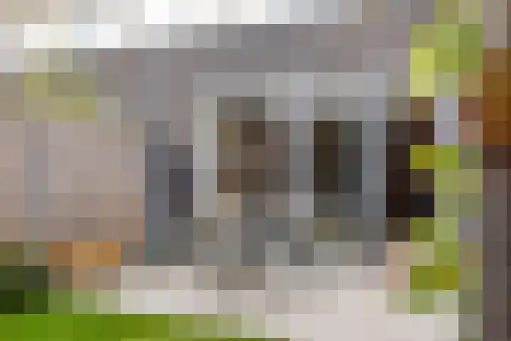 Brandemeer 31 j Leeuwarden thumbnail 13