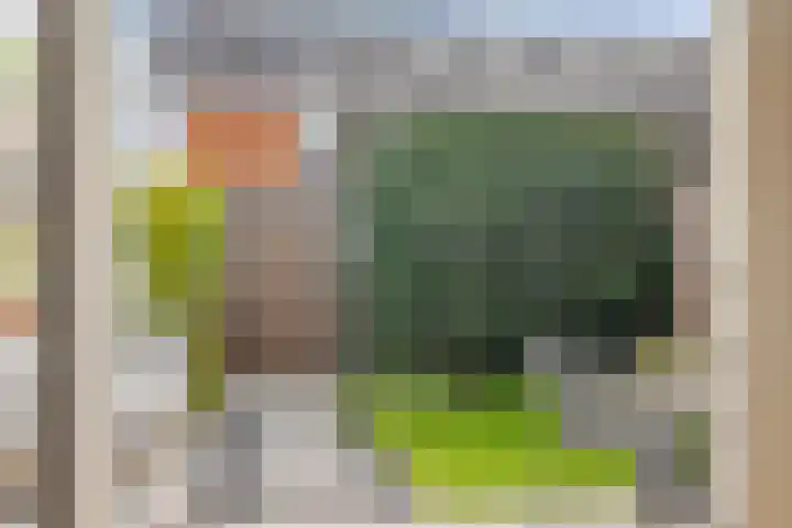 Brandemeer 31 j Leeuwarden thumbnail 16