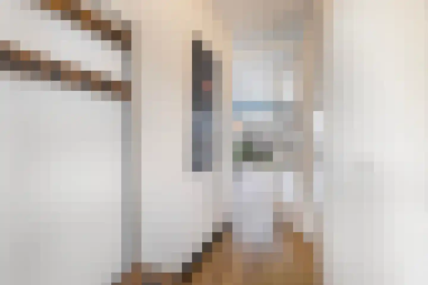 Brandemeer 33 d Leeuwarden thumbnail 14