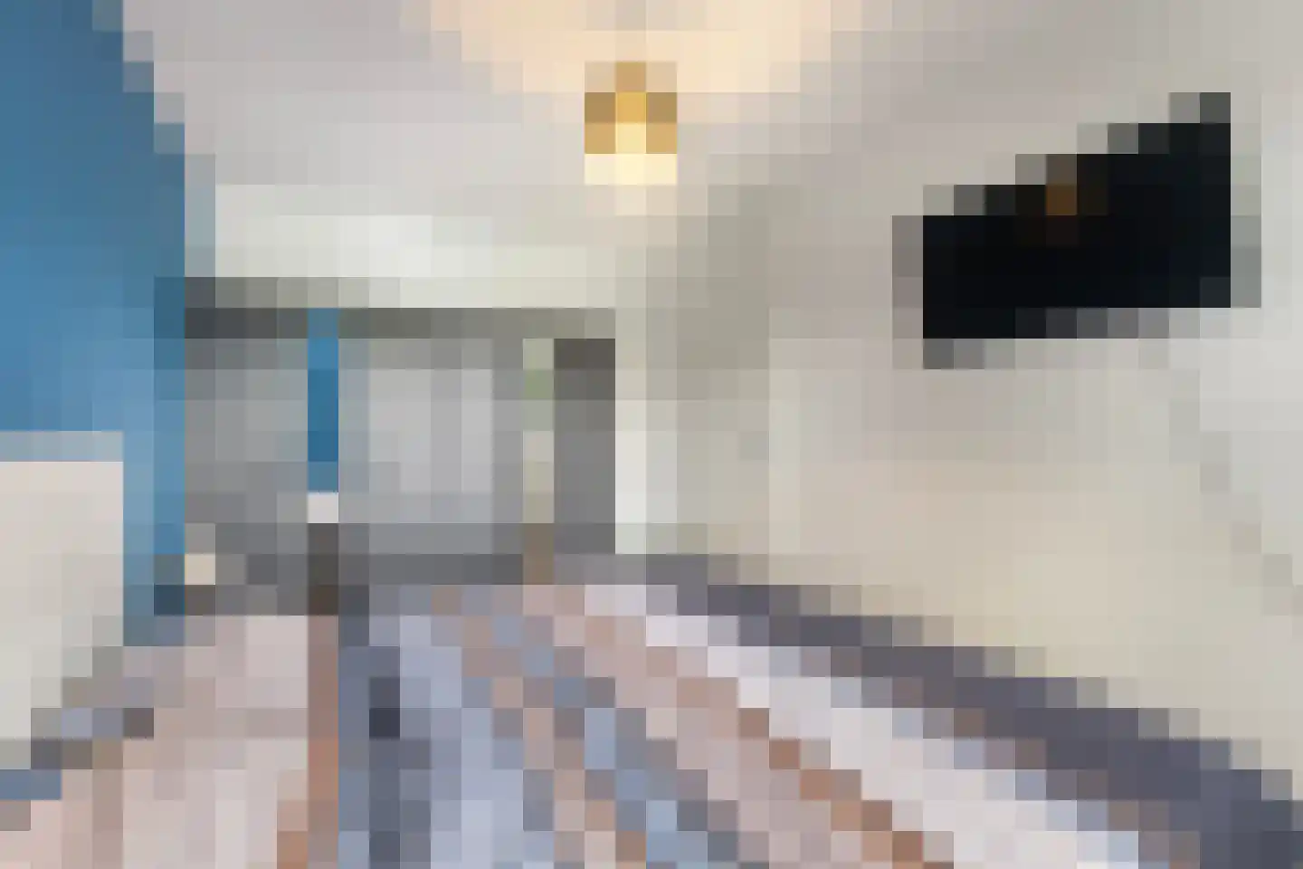 Brandemeer 33 d Leeuwarden thumbnail 20