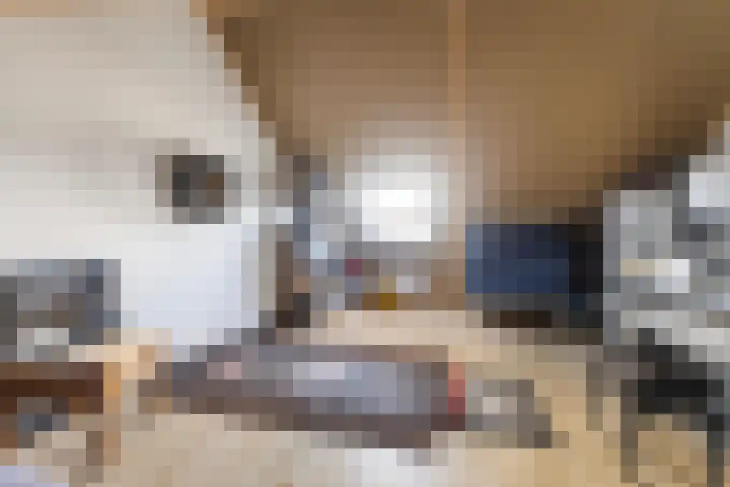 Brandemeer 33 d Leeuwarden thumbnail 27
