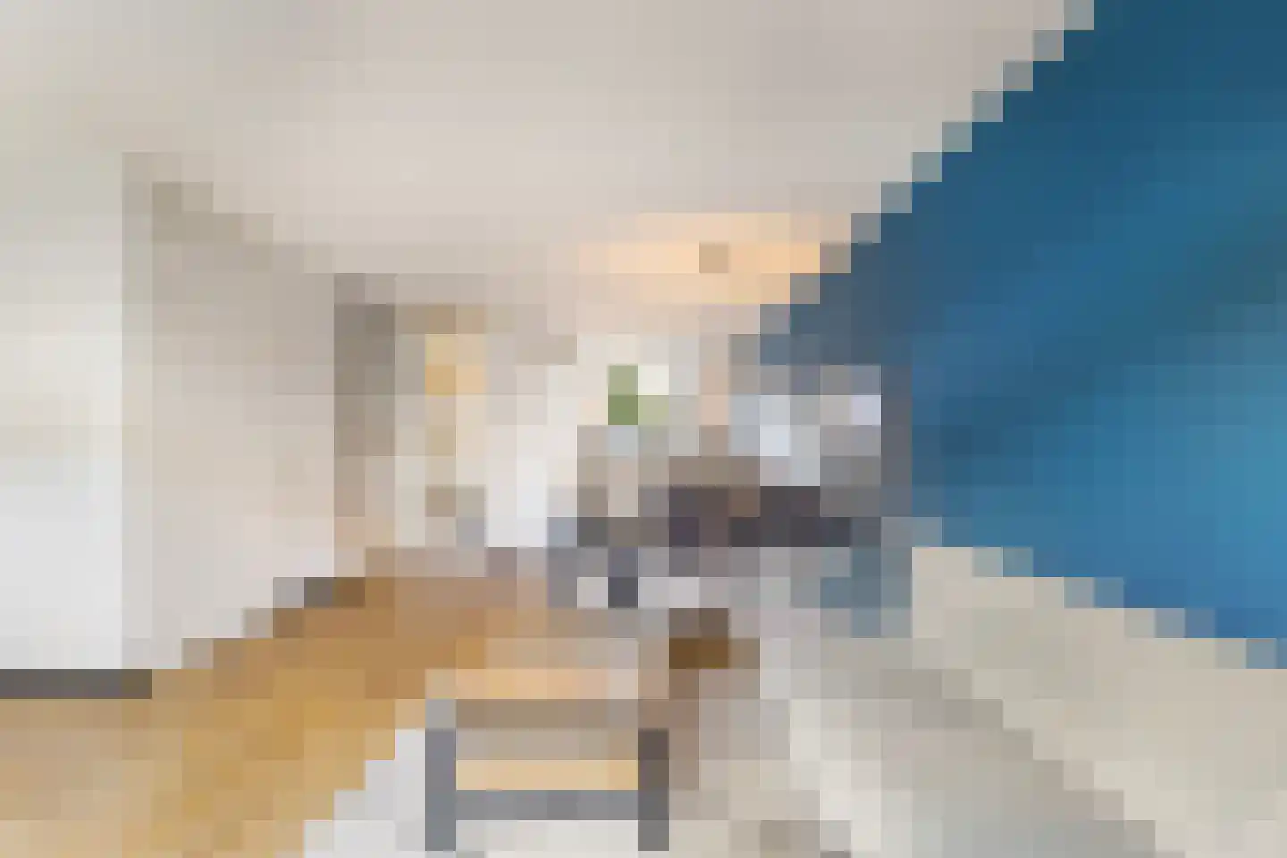 Brandemeer 33 d Leeuwarden thumbnail 9