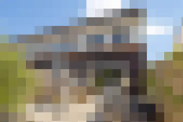 Brandemeer 33 e Leeuwarden thumbnail 31