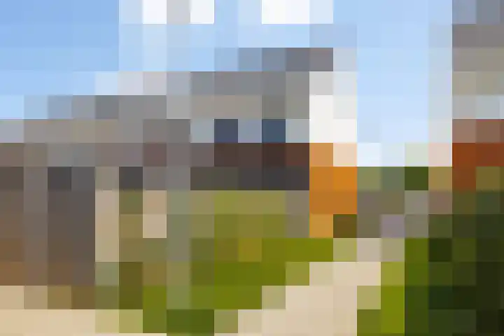 Brandemeer 33 e Leeuwarden thumbnail 33