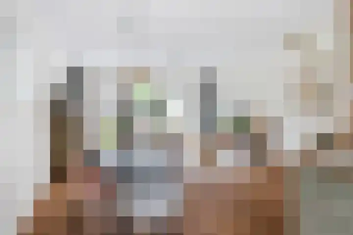 Brandemeer 33 h Leeuwarden thumbnail 11
