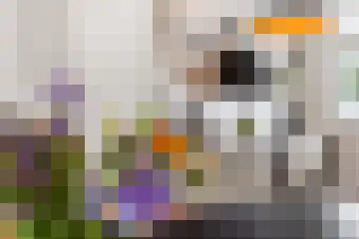 Brandemeer 33 h Leeuwarden thumbnail 16