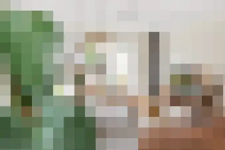Brandemeer 33 h Leeuwarden thumbnail 17
