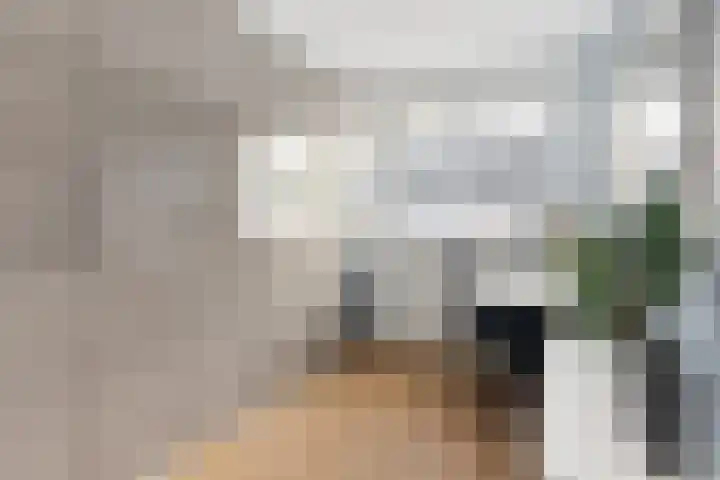 Brandemeer 33 h Leeuwarden thumbnail 24