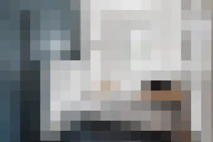 Brandemeer 33 h Leeuwarden thumbnail 28