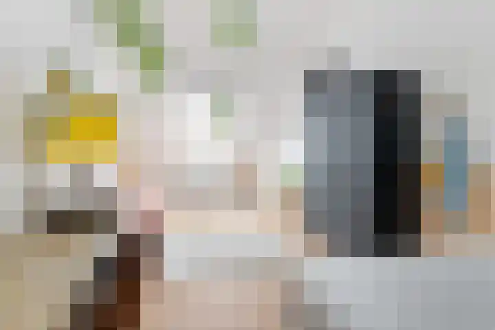 Brandemeer 33 h Leeuwarden thumbnail 33