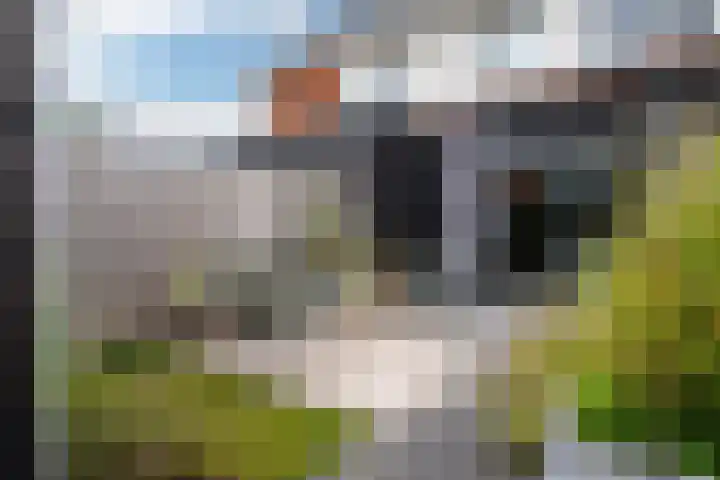 Brandemeer 33 h Leeuwarden thumbnail 35