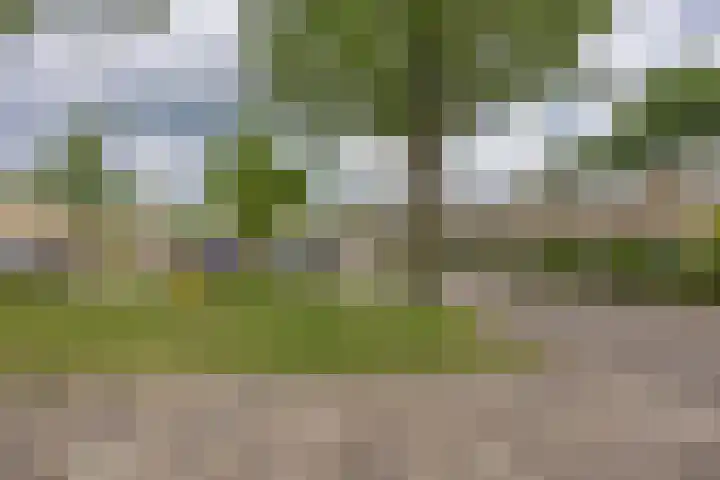 Brandemeer 40 Leeuwarden thumbnail 22