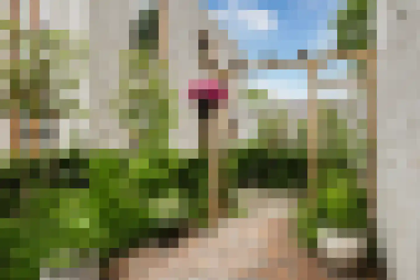 Brandemeer 9 g Leeuwarden thumbnail 4