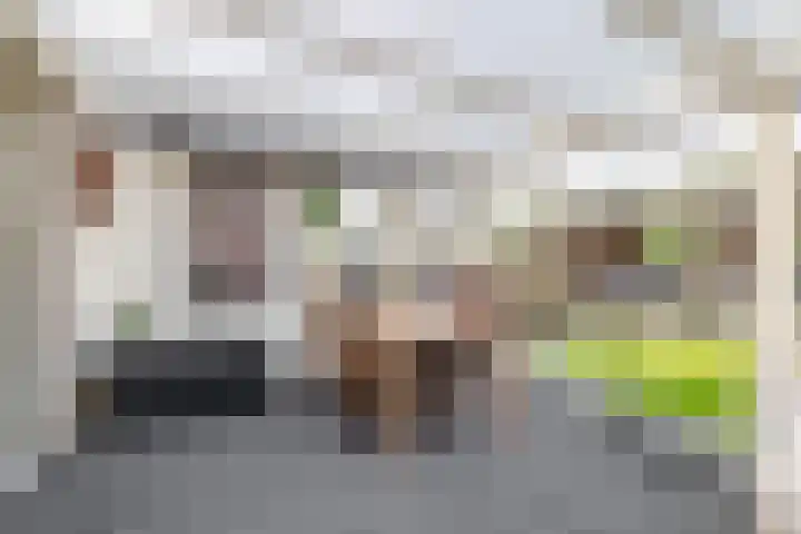 Brandemeerstraat 5 Lemmer thumbnail 18