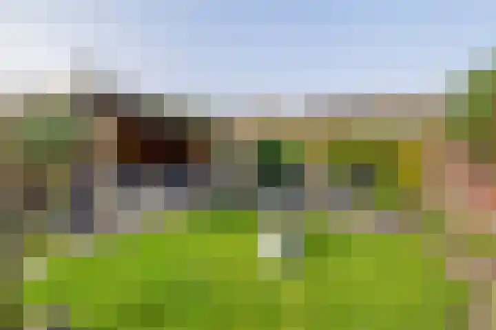 Brandemeerstraat 5 Lemmer thumbnail 19