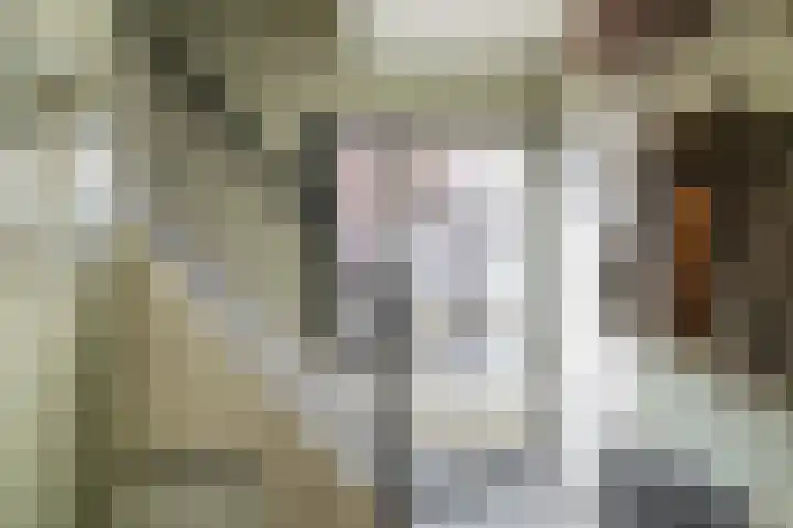 Brandemeerstraat 5 Lemmer thumbnail 5