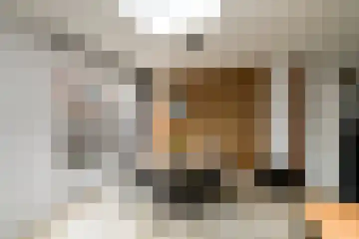 Brandemeerstraat 8 Lemmer thumbnail 11