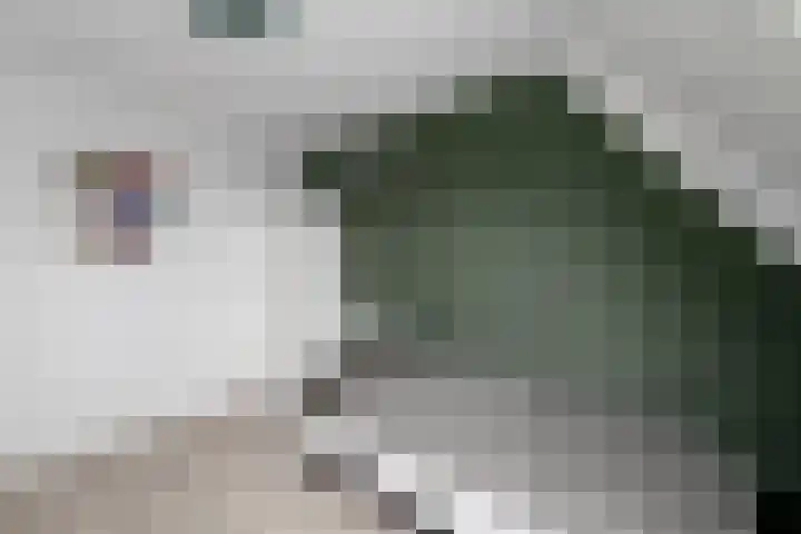 Brandemeerstraat 8 Lemmer thumbnail 21