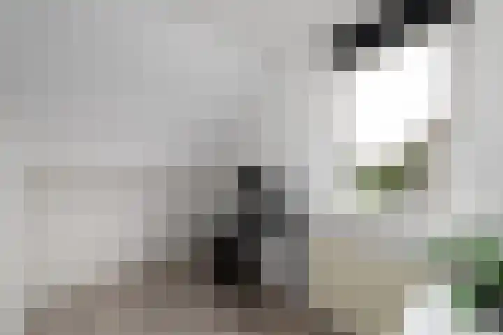 Brandemeerstraat 8 Lemmer thumbnail 22