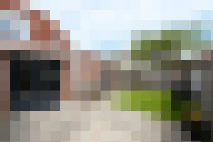 Brandemeerstraat 8 Lemmer thumbnail 30