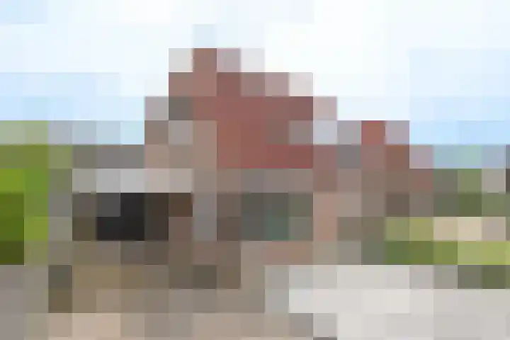 Brandemeerstraat 8 Lemmer thumbnail 38