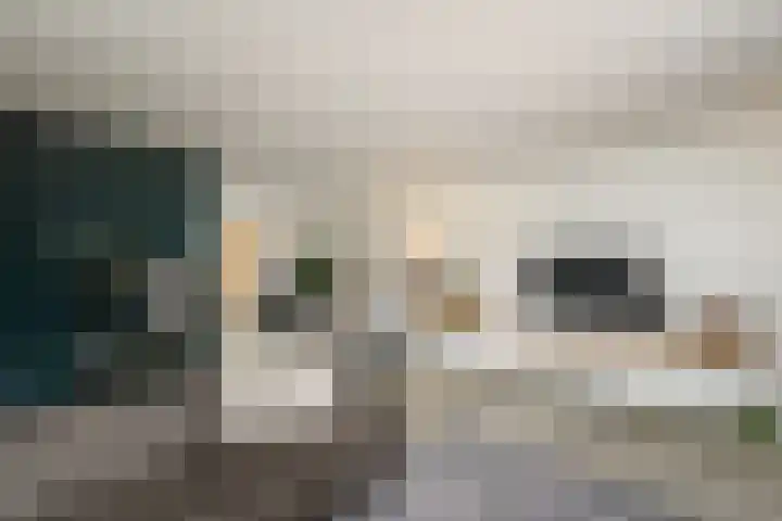 Brandemeerstraat 8 Lemmer thumbnail 7