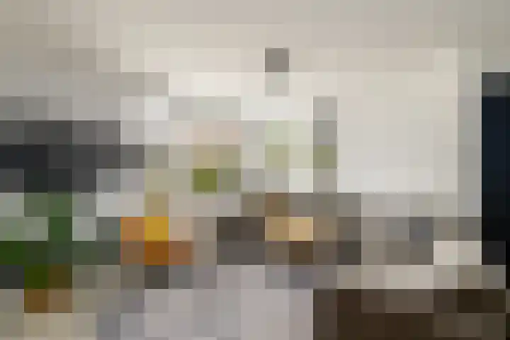 Brandemeerstraat 8 Lemmer thumbnail 8