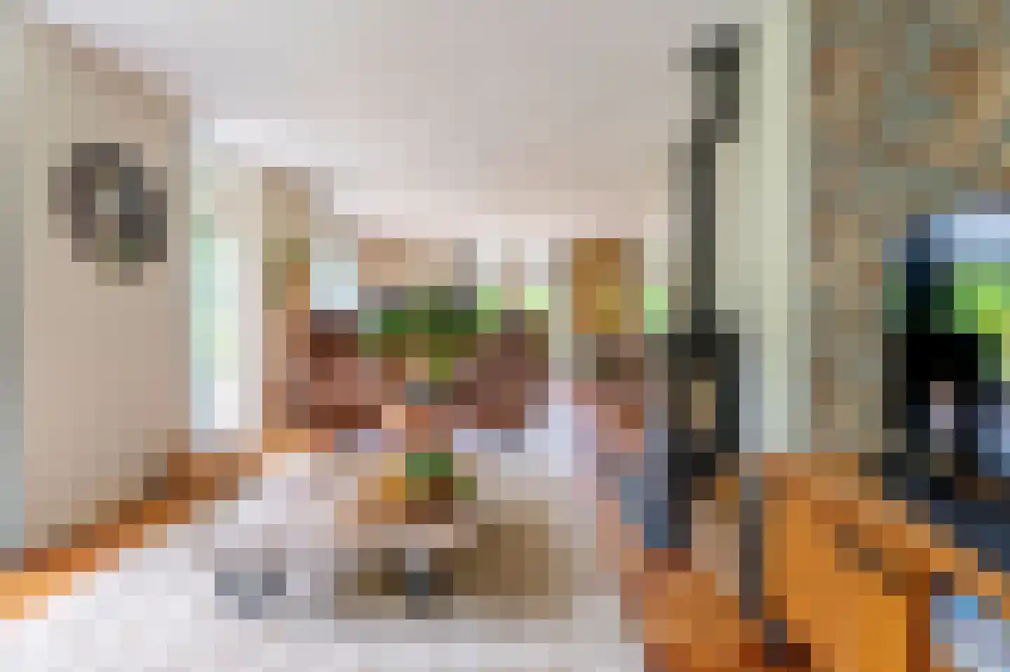 Brandemolen 18 Arcen thumbnail 10