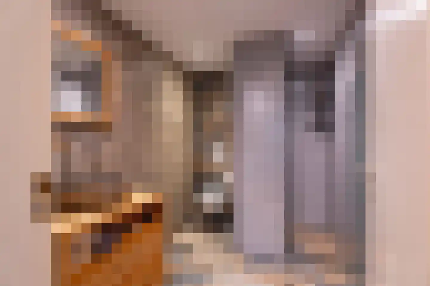 Brandemolen 18 Arcen thumbnail 15