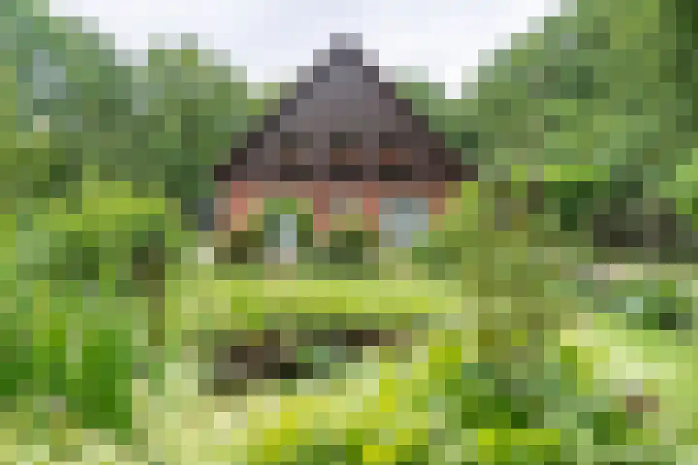 Brandemolen 18 Arcen thumbnail 4